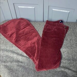Hollister Burgundy Corduroy Flares 23x32